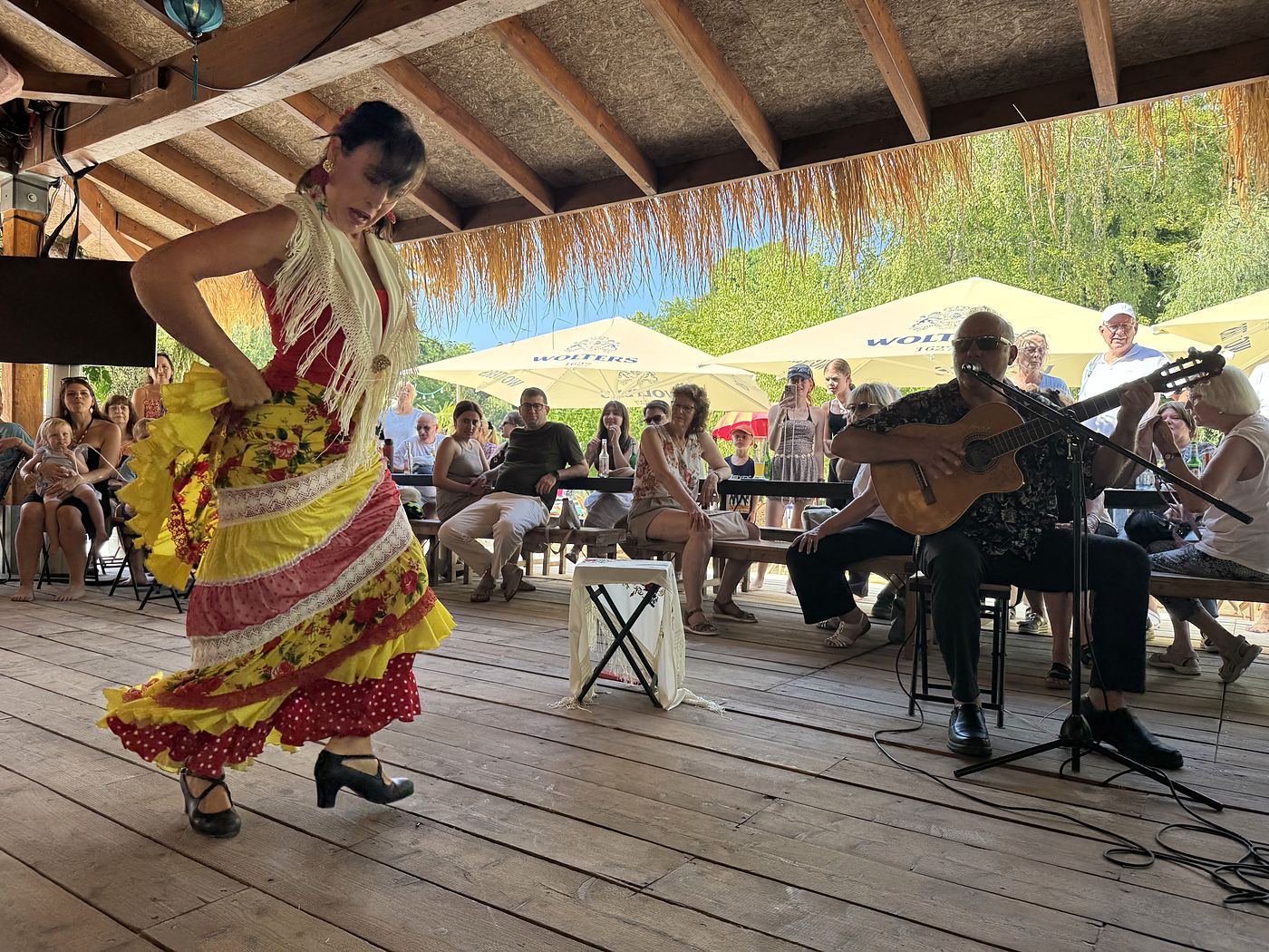 Flamenco-T&auml;nzerin mitten in der Drehung